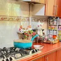 استخدام خانم (خانواده)