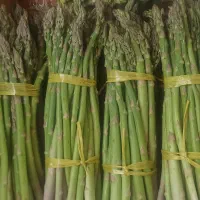 مارچـوبه تـازه در شــیراز