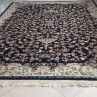 فرش کاشان در حد نو|فرش|قزوین, |دیوار