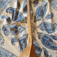 سه‌تار استاد پژمان همراه هاردکیس و هدیه|سازهای سنتی|اصفهان, ملک‌شهر|دیوار