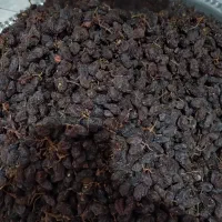 کشمش|خوردنی و آشامیدنی|بناب, |دیوار