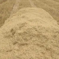 کاخ مرغوب ،کاهکوب