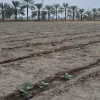 چاه کشاورزی