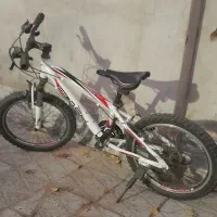 دوچرخه ۲۰حرفه ای برند فلش