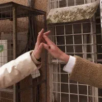 مشاوره درمانگر