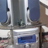 ظبط به فروش میرسد