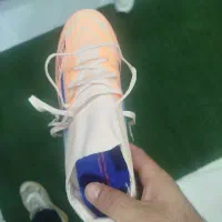 کفش چمنی ادیداسf50|کیف، کفش، کمربند|نهبندان, |دیوار