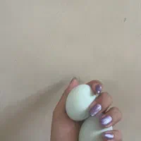 تخم مرغ نطفه دار لاکندزی،لاکنزی