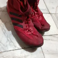 کتونی ورزشی