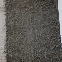 تعدادی پادری|پادری|شیراز, ملاصدرا|دیوار