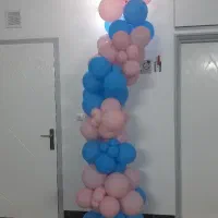 بادکنک تعیین جنسیت نو