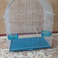 قفس پرنده