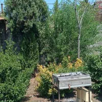 سویت-تک-خواب-کلبه-ای-خانواده-و-مجرد