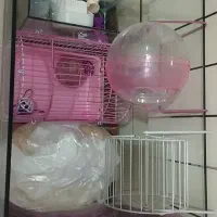 لوازم همستر