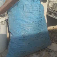 کود کبوتر