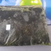 سبزی ماهی خام(تر )
