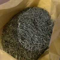 یونجه خرگوش و‌خوکچه نابالغ (بیشتر برگ داره)