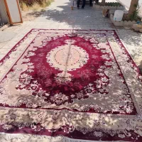 قالی ۱۲ متری تراکم بالا