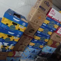 فروش ۳۲ عدد کارتن موزی