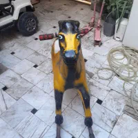 اسب  ننویی و اسکوتر دخترانه سالم