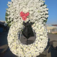 تاج گل قیمت مناسب ترحیم|گل و گیاه طبیعی|ری, تقی آباد|دیوار