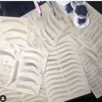 فیبروز آموزش آرایش دائم صورت اجرا فیبروز شید و ...