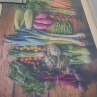 یک عدد فرش آشپزخانه|فرش|همدان, |دیوار