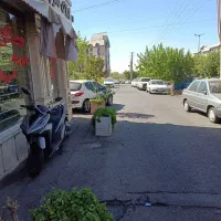 همخونه-میشم
