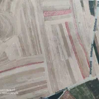 فروش تقریباً 2 هکتار زمین دیم درروستای قاضی مردان|فروش زمین و ملک کلنگی|اسدآباد, |دیوار