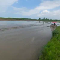 شالیزار-سوخته-کوه
