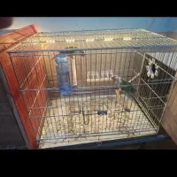 قفس پرنده بزرگ و کوچک