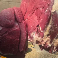 گوشت گوساله تازه و گرم