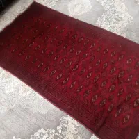 قالی چه دست باف|فرش|مشهد, توس (بلوار توس)|دیوار