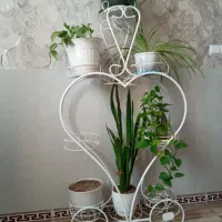 استند گل