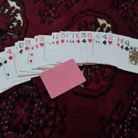 پاسور درجه یک نشکن|اسباب‌‌بازی|گمیشان, |دیوار