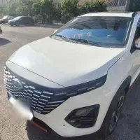 x33 کراس