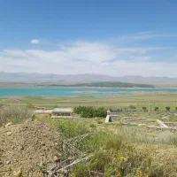 نیازمند یک بانو ( یانچشمه یا بن)