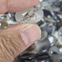 شجر و یاقوت و شرف