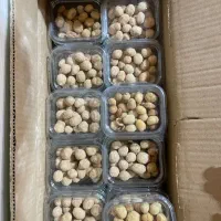 فروش محصولات خوش فروش خاله حنانه کافه،سوپری،دکه.|عمدهفروشی|اهواز, فاز ۱ پادادشهر|دیوار