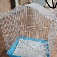 قفس پرنده
