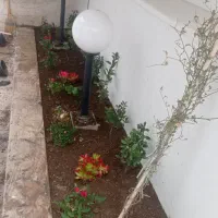 باغبانی سمپاشی تیلرزدن گلکاری کود دهی در تمام نقاط|خدمات باغبانی و درختکاری|مشهد, وکیل‌آباد|دیوار