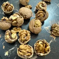 گردو خشک امساله