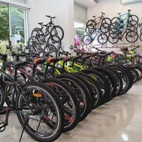 اسکوتر.دوچرخه.تعویض کهنه بانو.تک عمده.دهقان