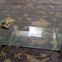 اکواریوم|ماهی|کرمانشاه, |دیوار