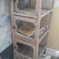 گنجه کبوترمرغ وخروس جوجه وهرپرنده ای..