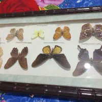 تابلو|تابلو، نقاشی، عکس|تهران, ولنجک|دیوار