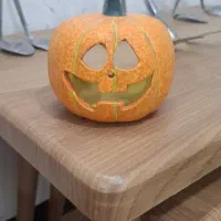 حراج کلی دیوارکوب و تزیینی