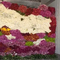 گل های طبیعی و خاص