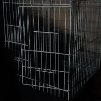 قفس طوطی سان