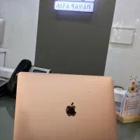 MacBook/Air/M1